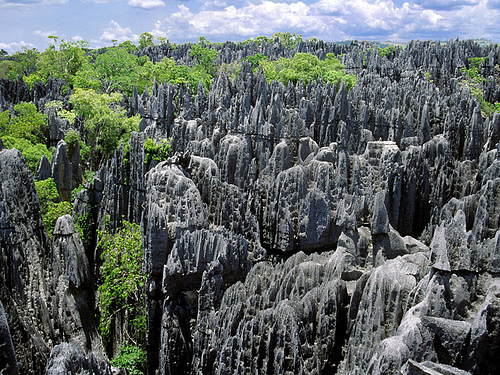 Tsingy de Bemaraha